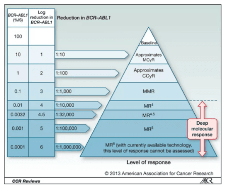 Haematology description